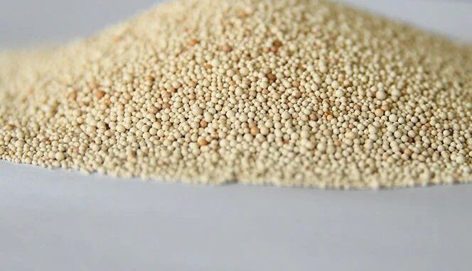 0917-1-1.jpg 0917-1-1.jpg